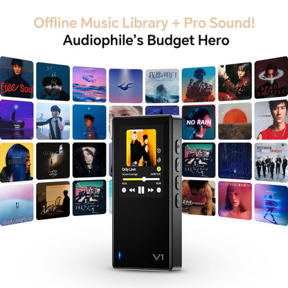 TempoTec Variations V1 HiFi Music Player